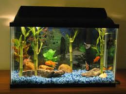 Aquarium